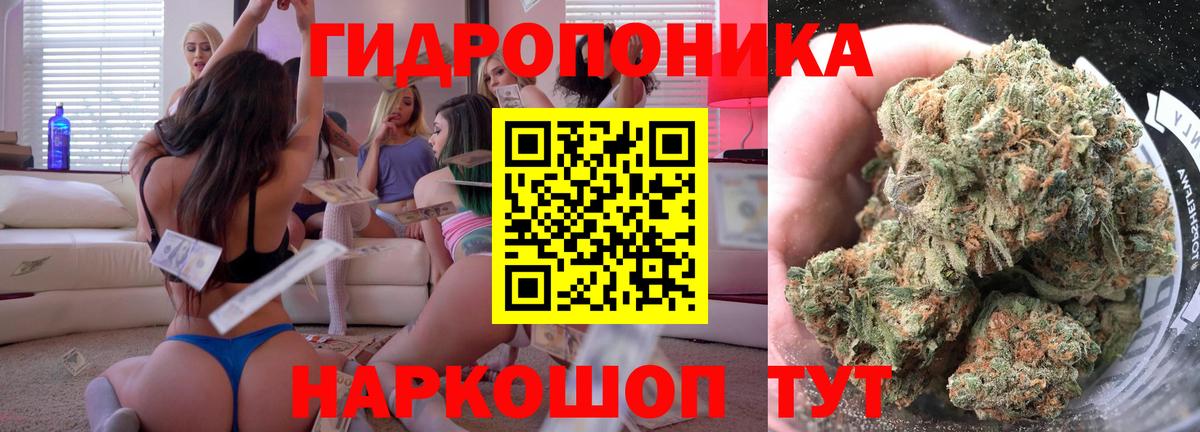 Белгород  Бошки Шишки конопля  Вход с VPN  Канабис индика  Конопля VHQ 
